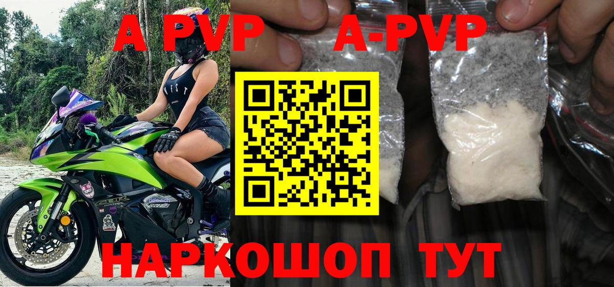 Alfa_PVP СК Орехово-Зуево