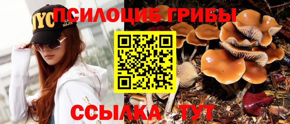 Орехово-Зуево  Псилоцибиновые грибы Cubensis  Вход с VPN  Псилоцибиновые грибы Psilocybe 